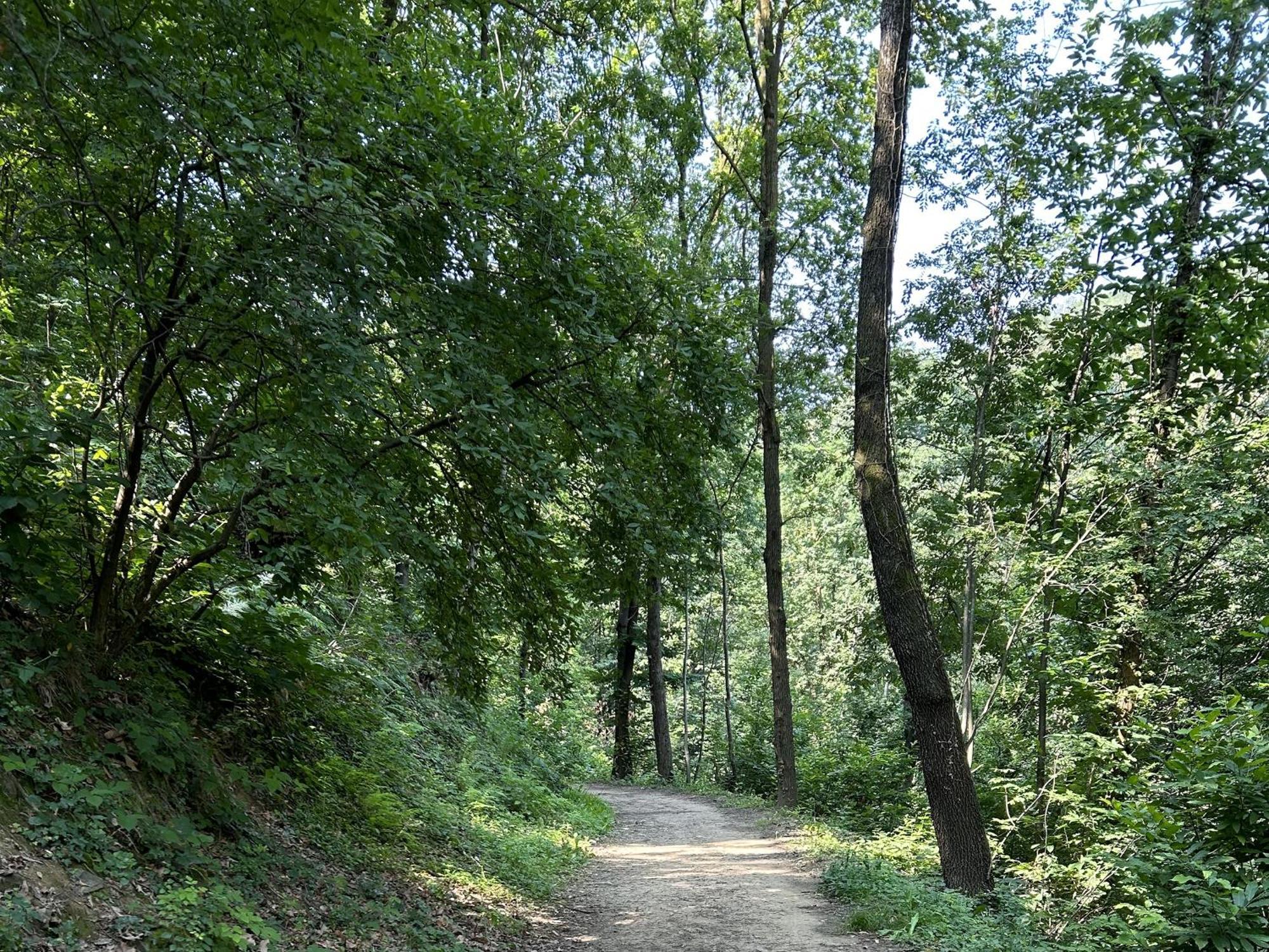 Appartement Il Giardino Di Berbech Citta Alta-Ulivo à Bergame Extérieur photo